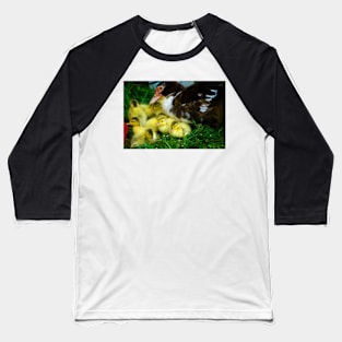 hll ducklings Baseball T-Shirt